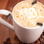 albine si cafea