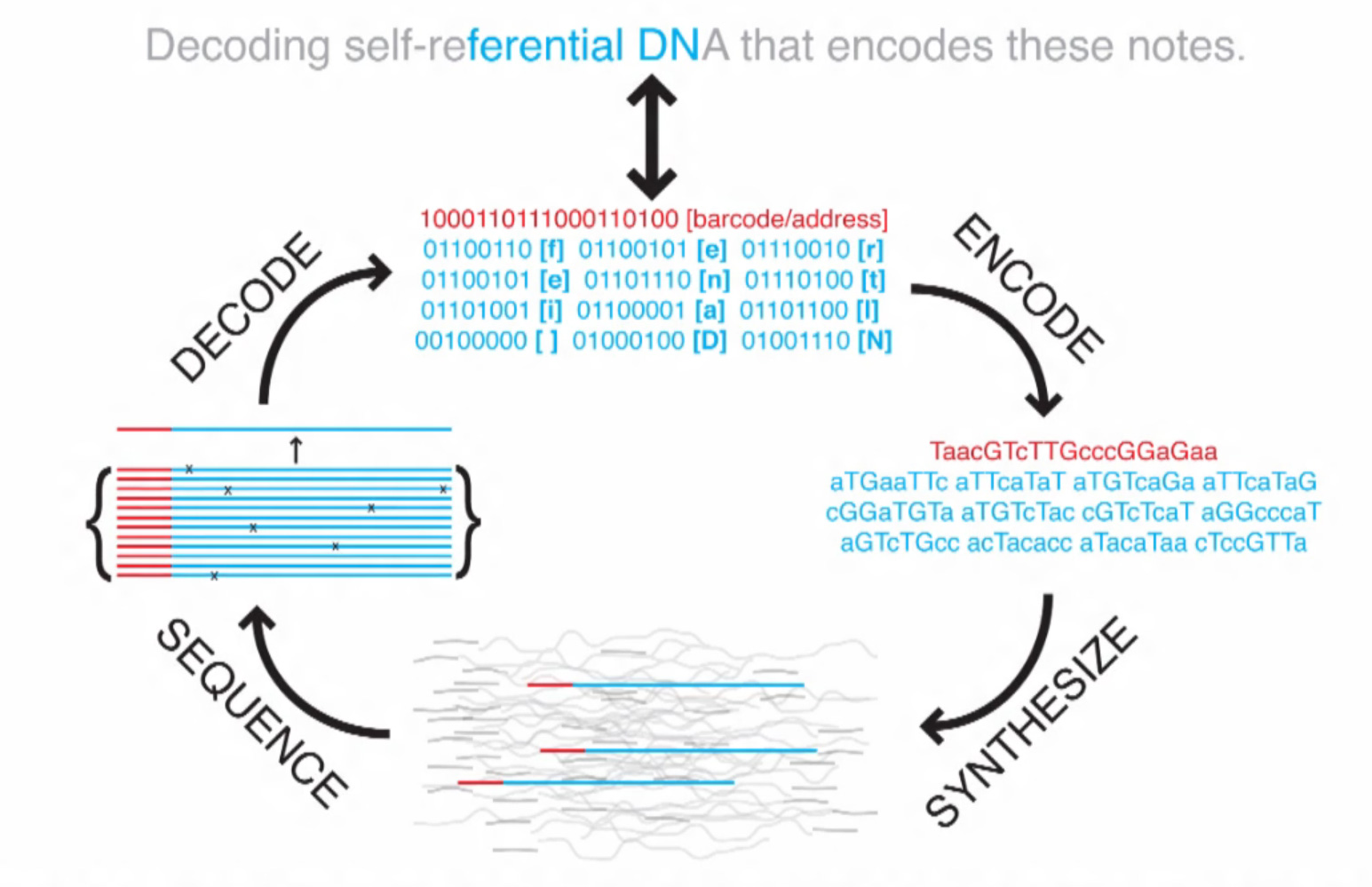 coding-decoding-dna-storage