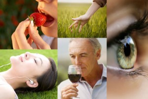 senses food