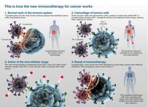 160629 immunotherapy